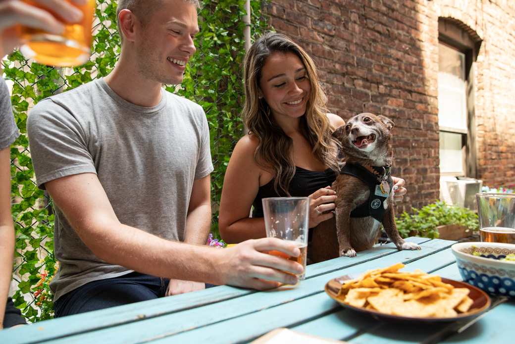 Celebratory Food, Drink and Other Festive Hazards