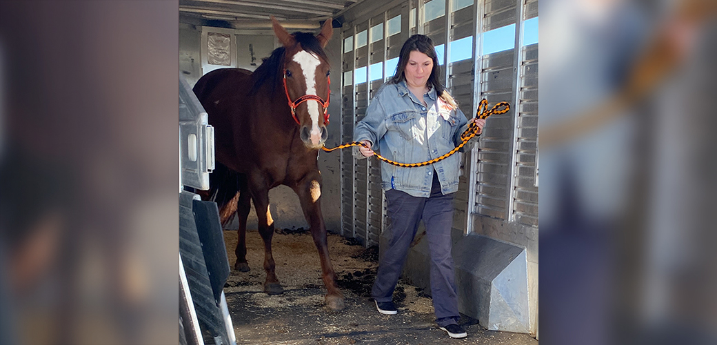 a woman leading a horse out of a trailer