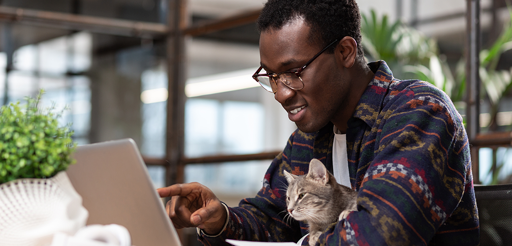 a man with glasses sitting at laptop with a small grey cat in his lap
