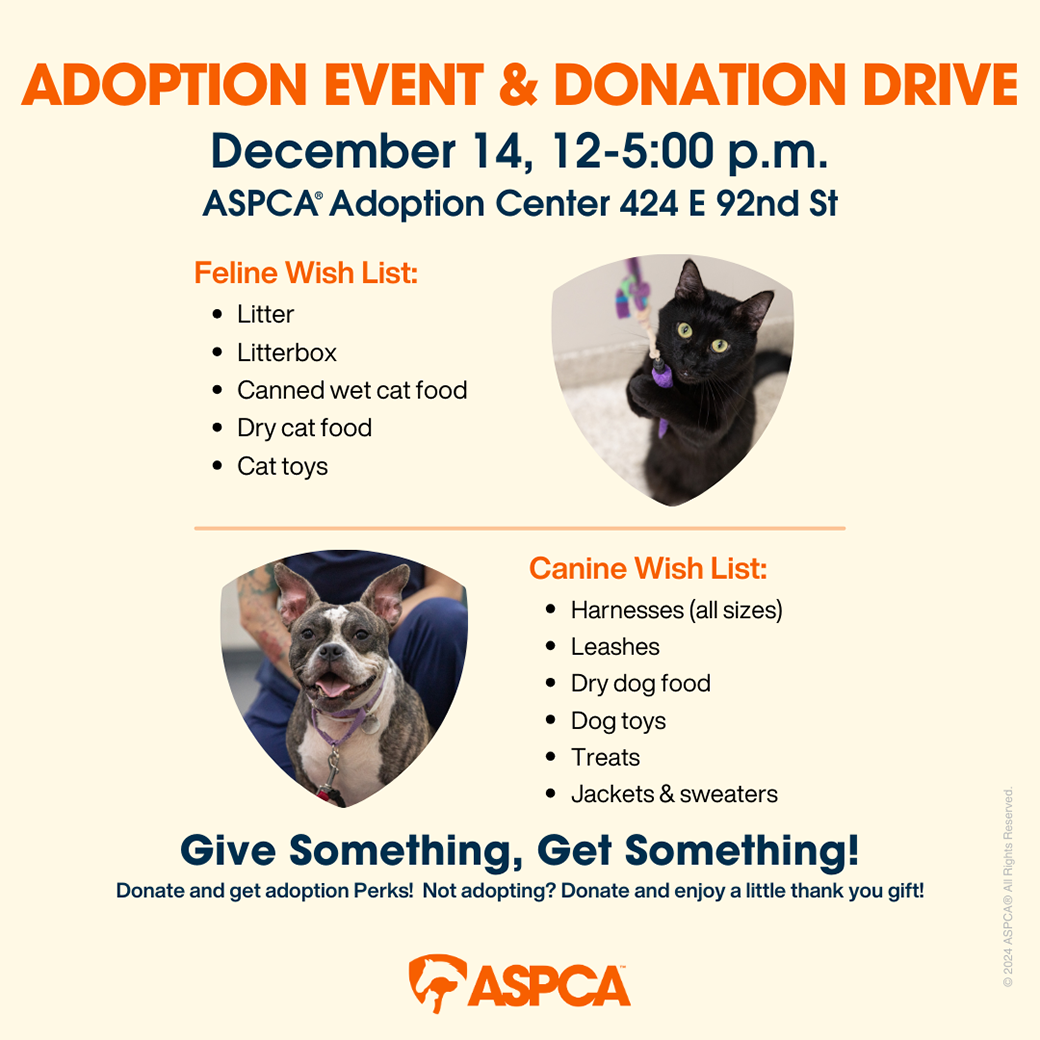 adoption event flyer