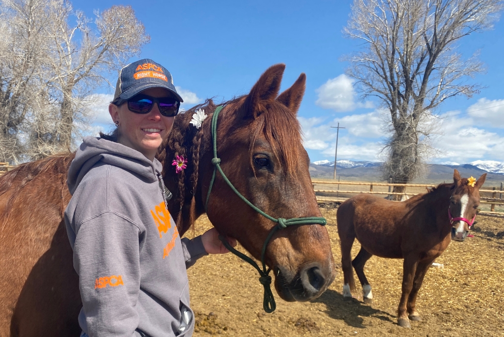 ASPCA employee with equine