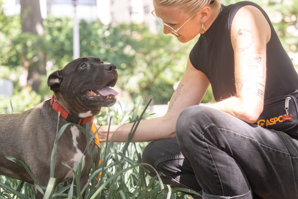 Woman outside petting a dog