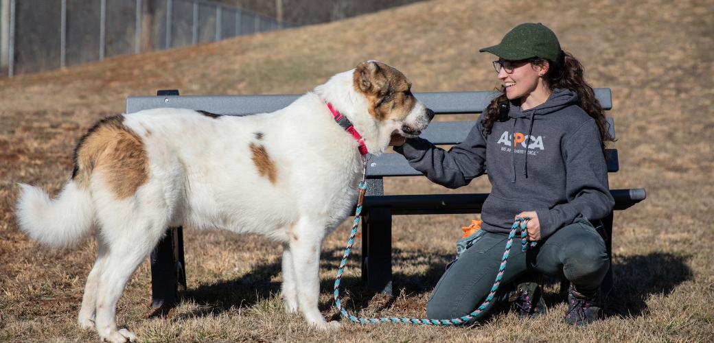 Woman outside with a dog