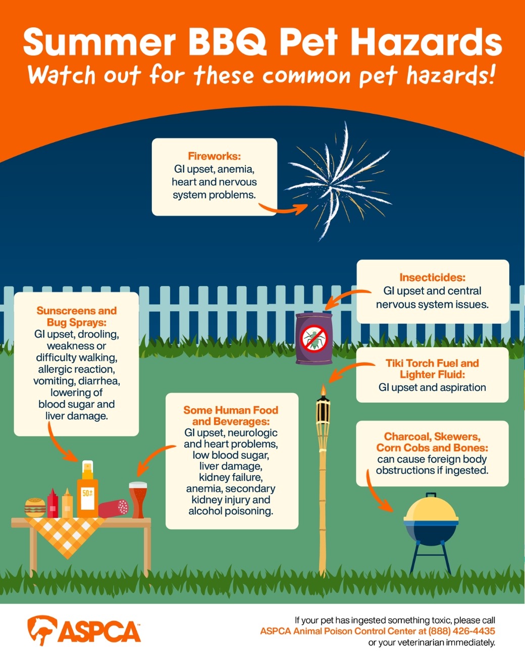 BBQ Pet Safety Infographic