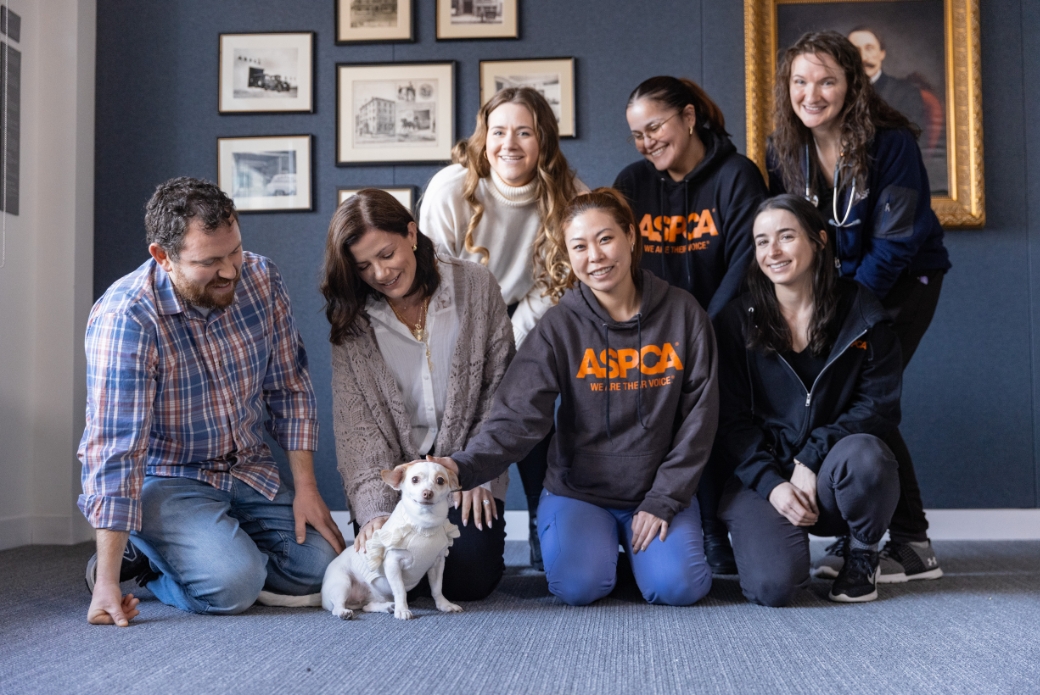 admission and placement specialists with a dog and her new adopters