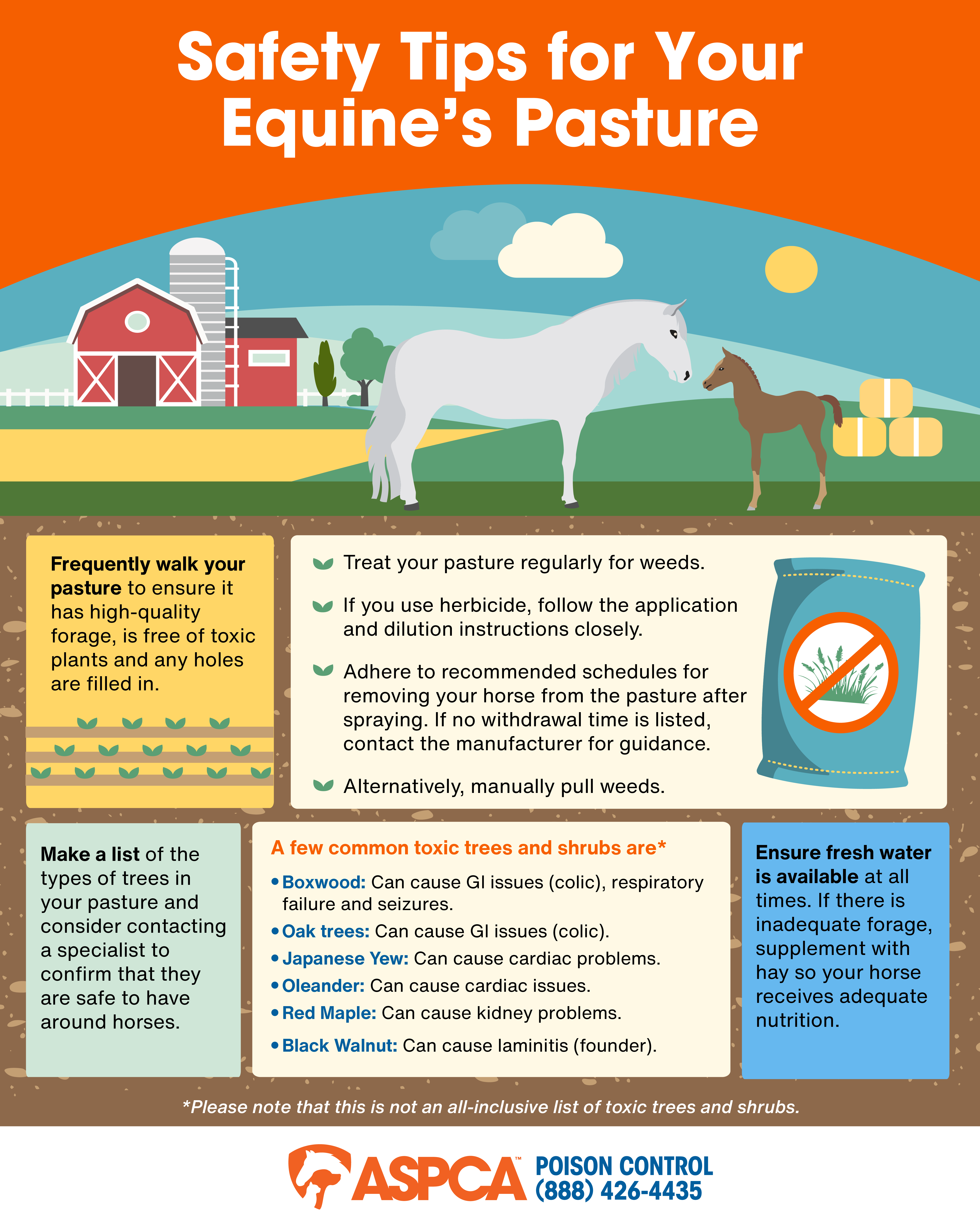 infographic on keeping horse's pastures safe 