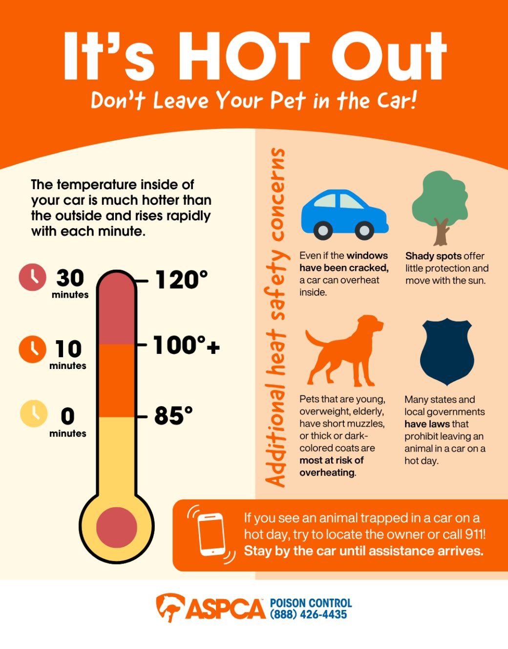 Infographic about leaving animals in hot cars