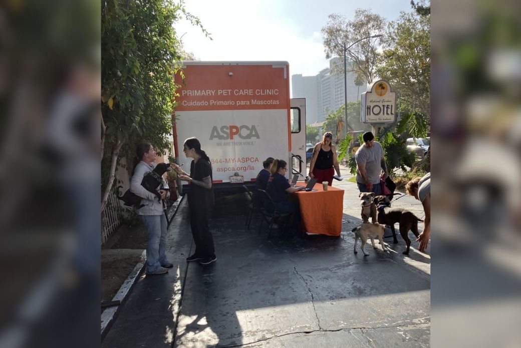 ASPCA Community Medicine Event