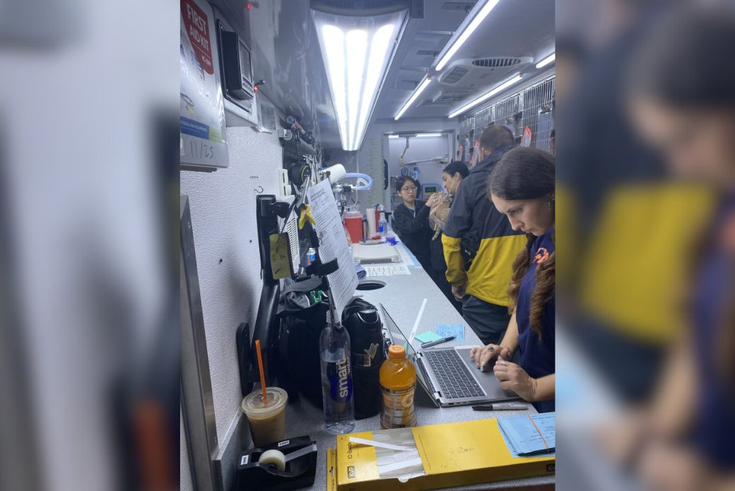 Animals receiving care on the ASPCA mobile clinic