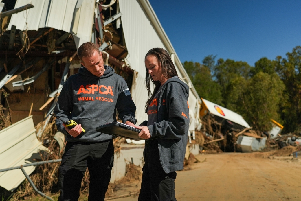 ASPCA hurricane rescue