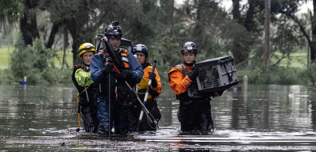 ASPCA flood rescue