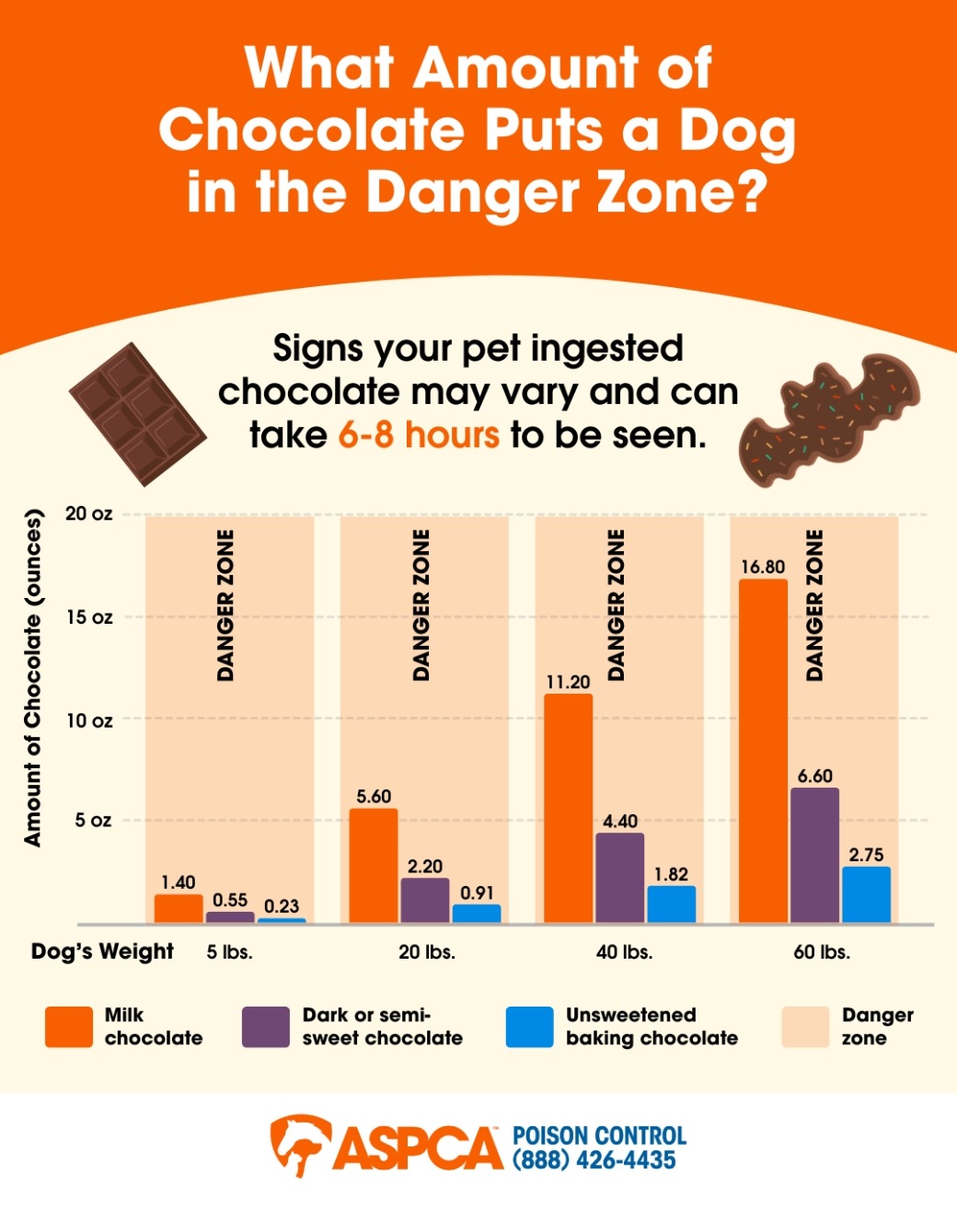 Halloween Chocolate Dangers Infographic