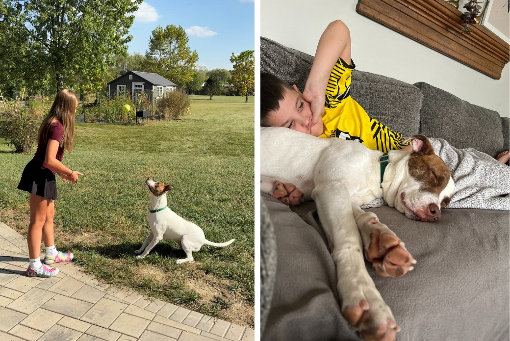 kids and their dog playing