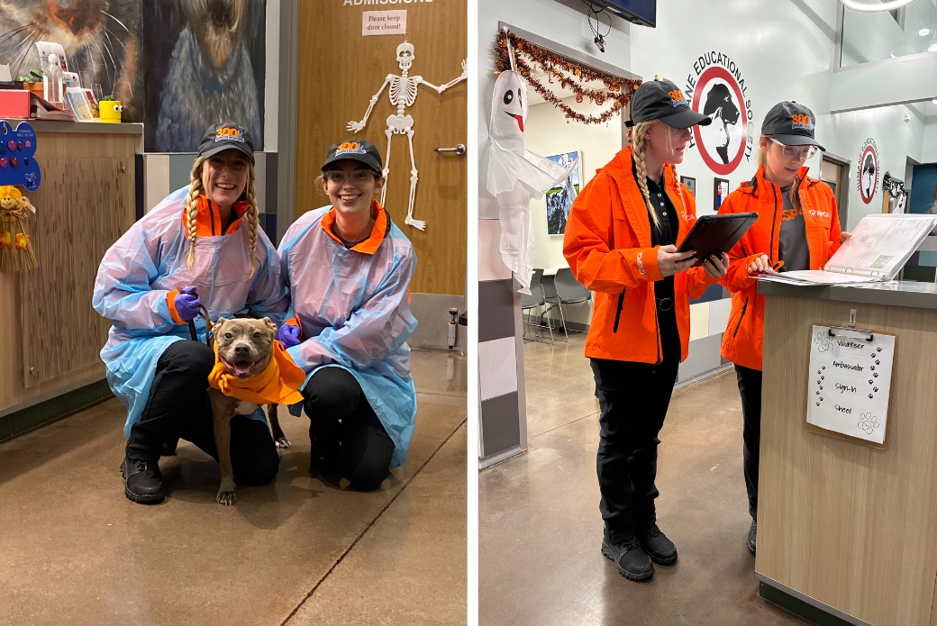 Left, Haley and Amber picking up Maisie Belle from the Humane Educational Society of Chattanooga in Tennessee. Right, Haley and Amber filling out paperwork before their drive.