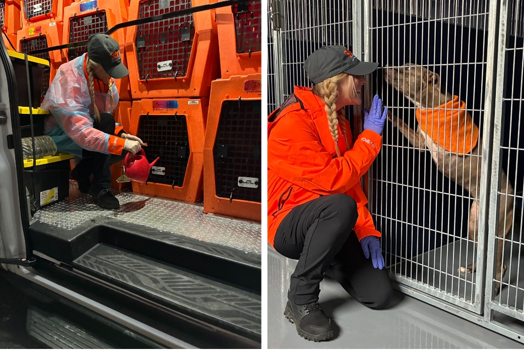 Left, Haley giving the dogs water. Right, Haley and Maisie Belle at the waystation.
