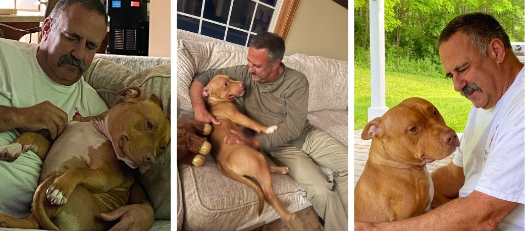 pit bull with his adopter