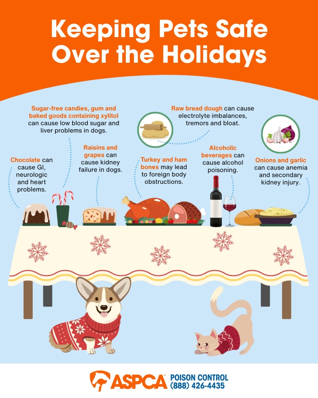 Thanksgiving Infographic