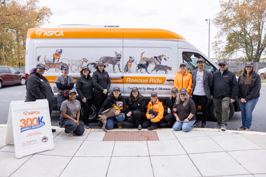 ASPCA celebrating their 300,000th animal relocated