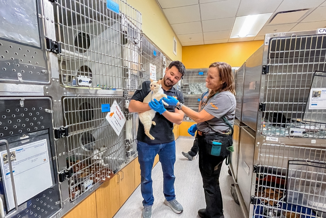 ASPCA Assists Animals in California Following Toxic Chemical Tank ...