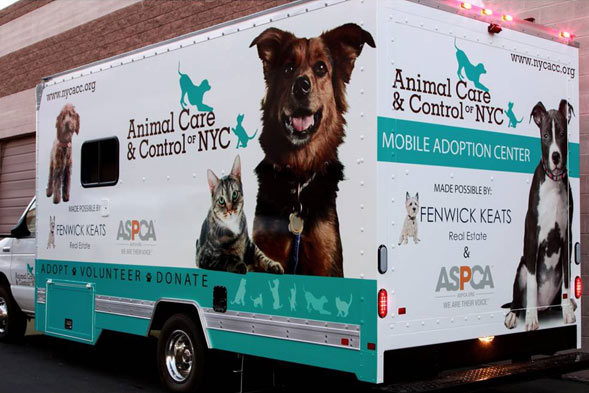 AC&C Mobile Adoption Center