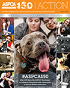 ASPCA Action Issue #1, 2016