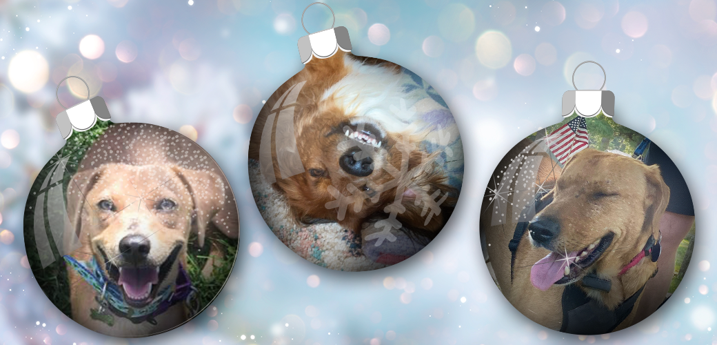 arkansas rescued dogs in christmas bulbs graphic