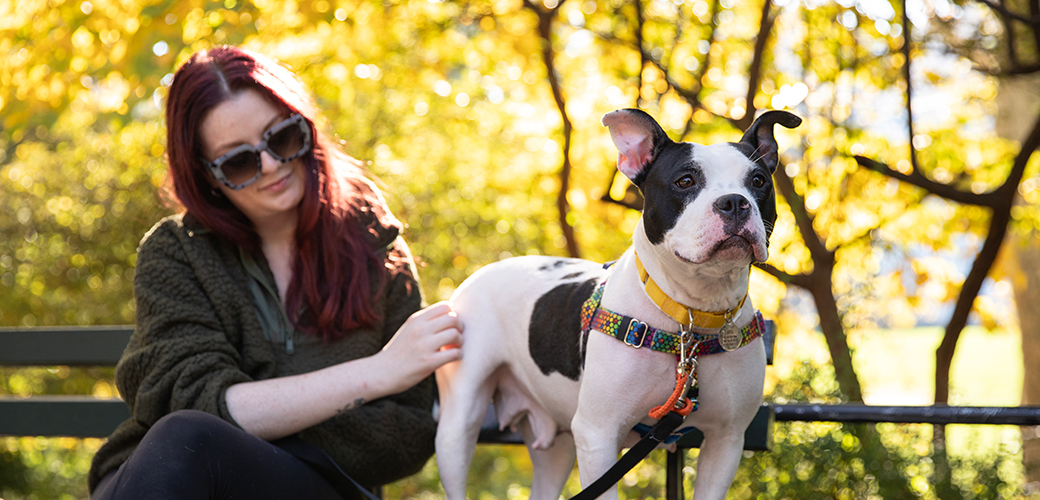 a black and white spotted dog next to a woman on a bench