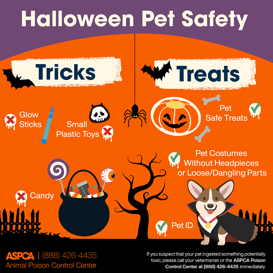 Halloween safety infographic