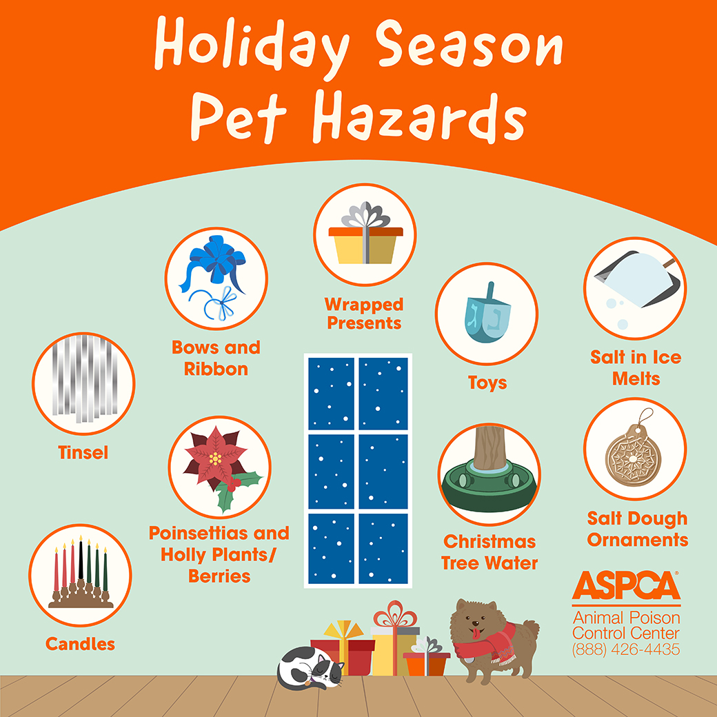 Holiday hazard graphic