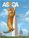 ASPCA Action Winter 2014