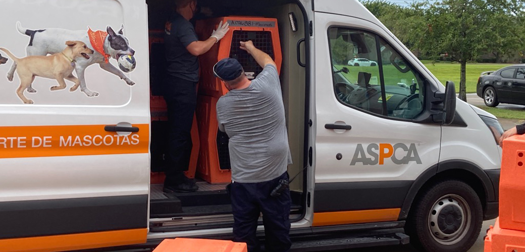 ASPCA Assists Local Shelters in Evacuating Homeless Animals in Path of Hurricane Ida