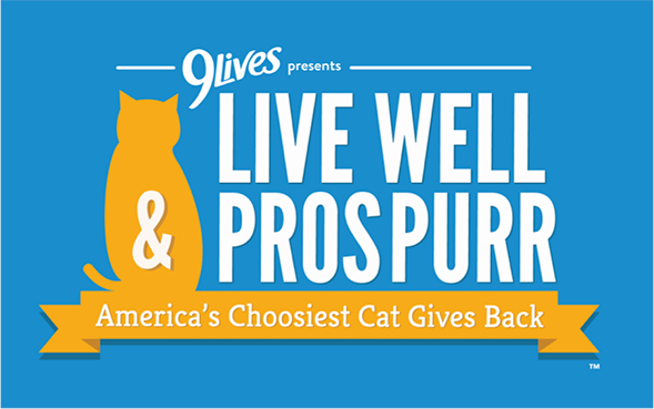 The ASPCA Teams Up With 9Lives to Feed Cats in Need Nationwide