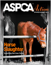ASPCA Action Spring/Summer 2015