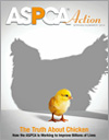 ASPCA Action Spring/Summer 2014