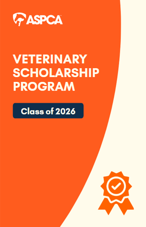 Veterinary Scholarship Program Class of 2026 cover