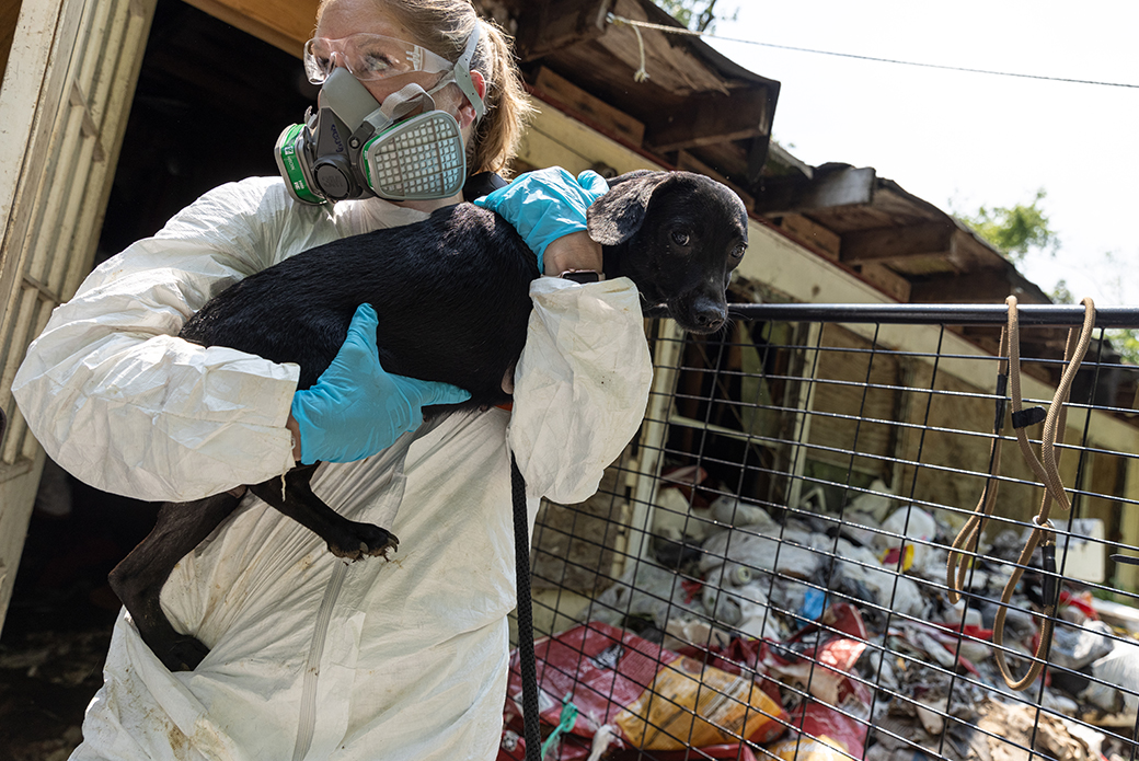 a responder in protective gear carying a rescued dog