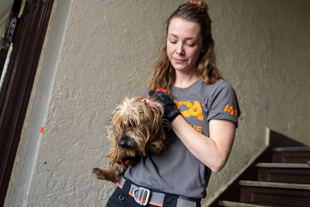 ASPCA responder carrying rescued dog down stairs