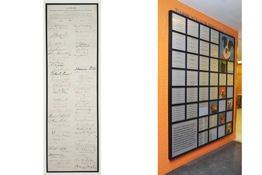 The ASPCA Turns 160: Celebrating Our History | ASPCA