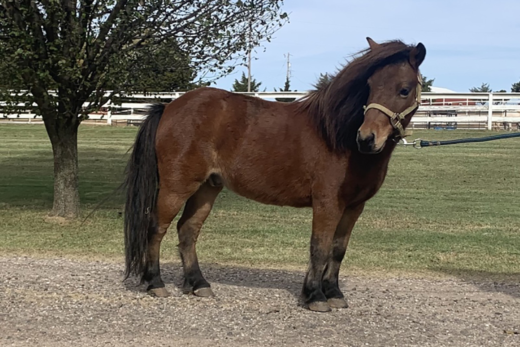 Gage out in a pasture