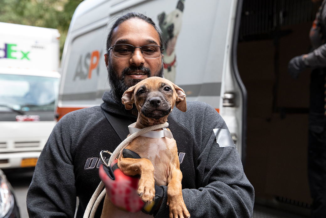 a man holding a puppy