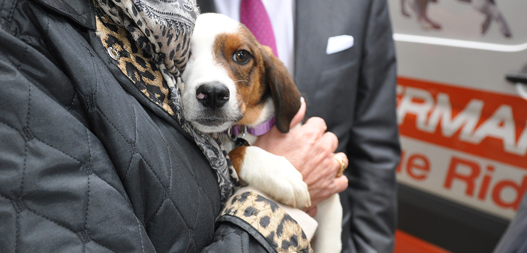 34 Dogs Safely Transported Thanks to Nancy Silverman Rescue Ride