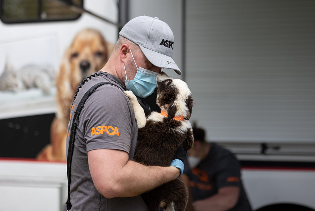 ASPCA responder carrying a rescued puppy