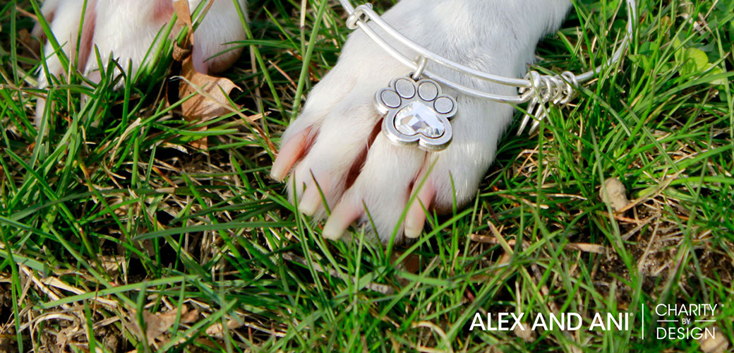 ALEX AND ANI