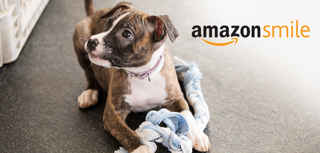 a puppy with a toy and the amazon smile logo