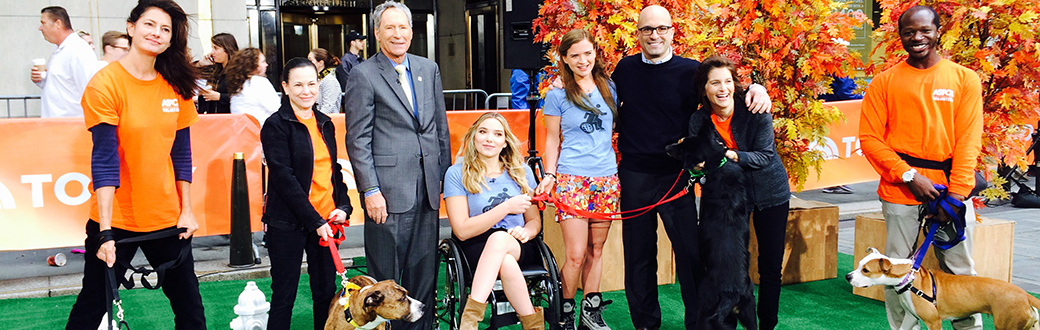 ASPCA on the Today Show