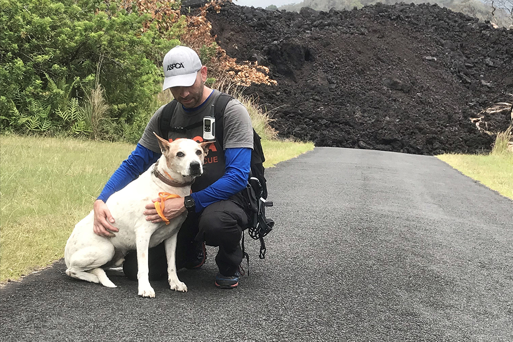 an aspca responder with a dog