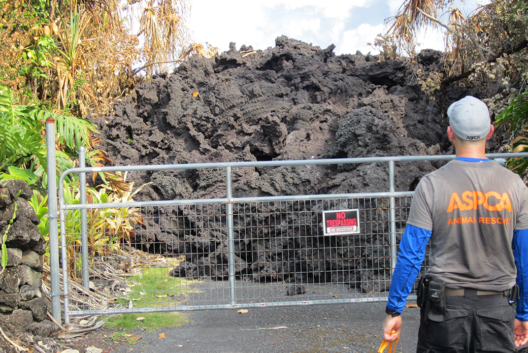 an aspca responder in front of cooled lava