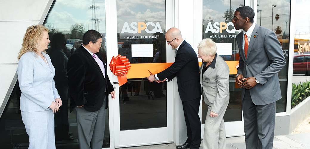 The ASPCA Commits $25 Million to Help Los Angeles’ Animals 