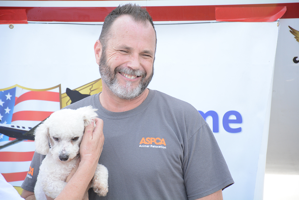 Animals in Flight: ASPCA Transports 145 Los Angeles Pets to Find Loving Homes