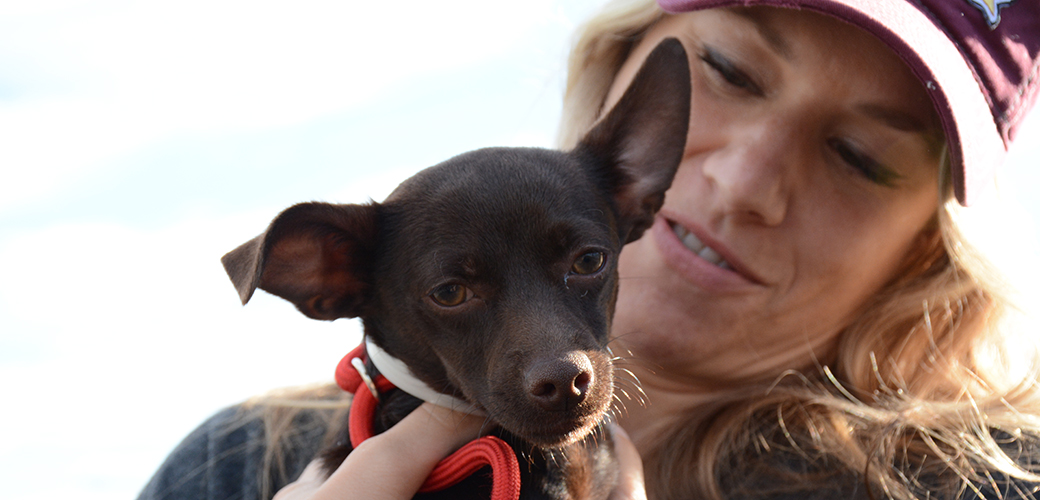 Animals in Flight: ASPCA Transports 145 Los Angeles Pets to Find Loving Homes